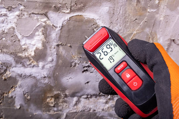 Best Emergency Mold Remediation in Amory, MS