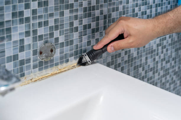 Best Black Mold Remediation in Amory, MS
