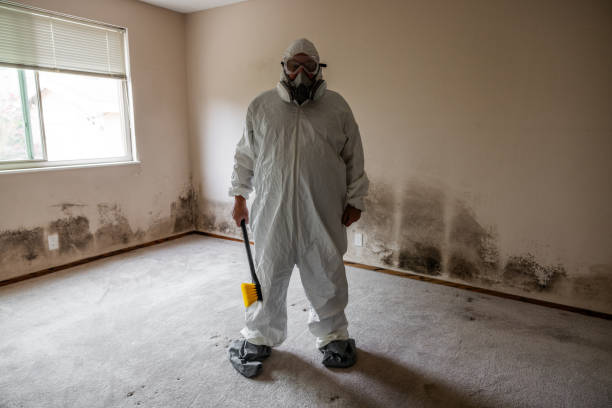 Amory, MS Mold Remediation Company